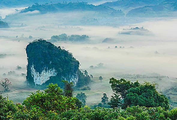 img-08-free-img.jpg Img 08 Free Img